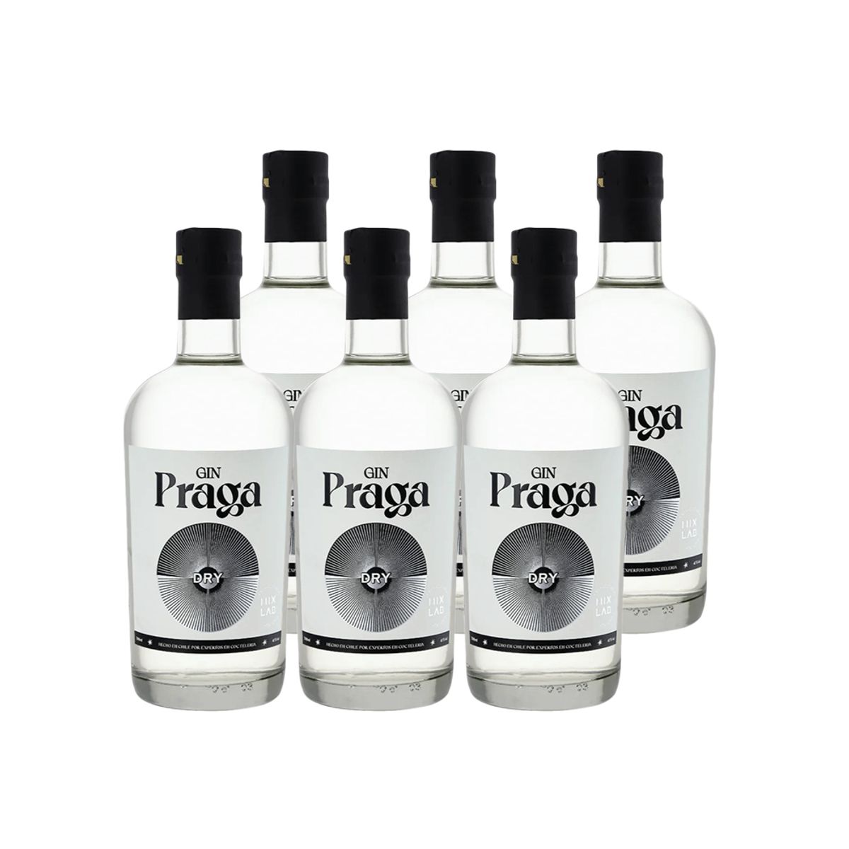 GENERICO - 6x Gin Praga Dry 38° 700cc