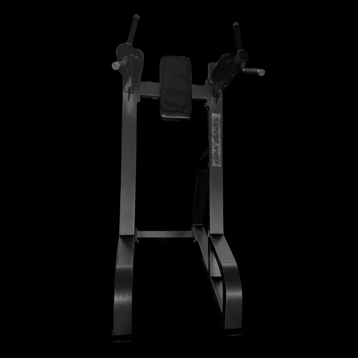 GENERICO - Elevación Vertical de Pierna Dip and Knee Raise Station 1036