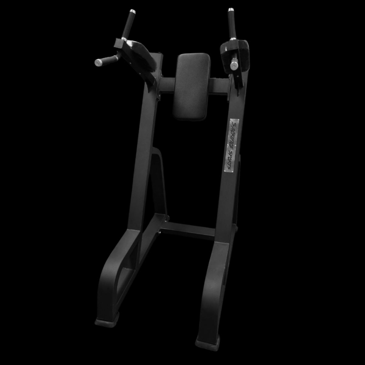 GENERICO - Elevación Vertical de Pierna Dip and Knee Raise Station 1036