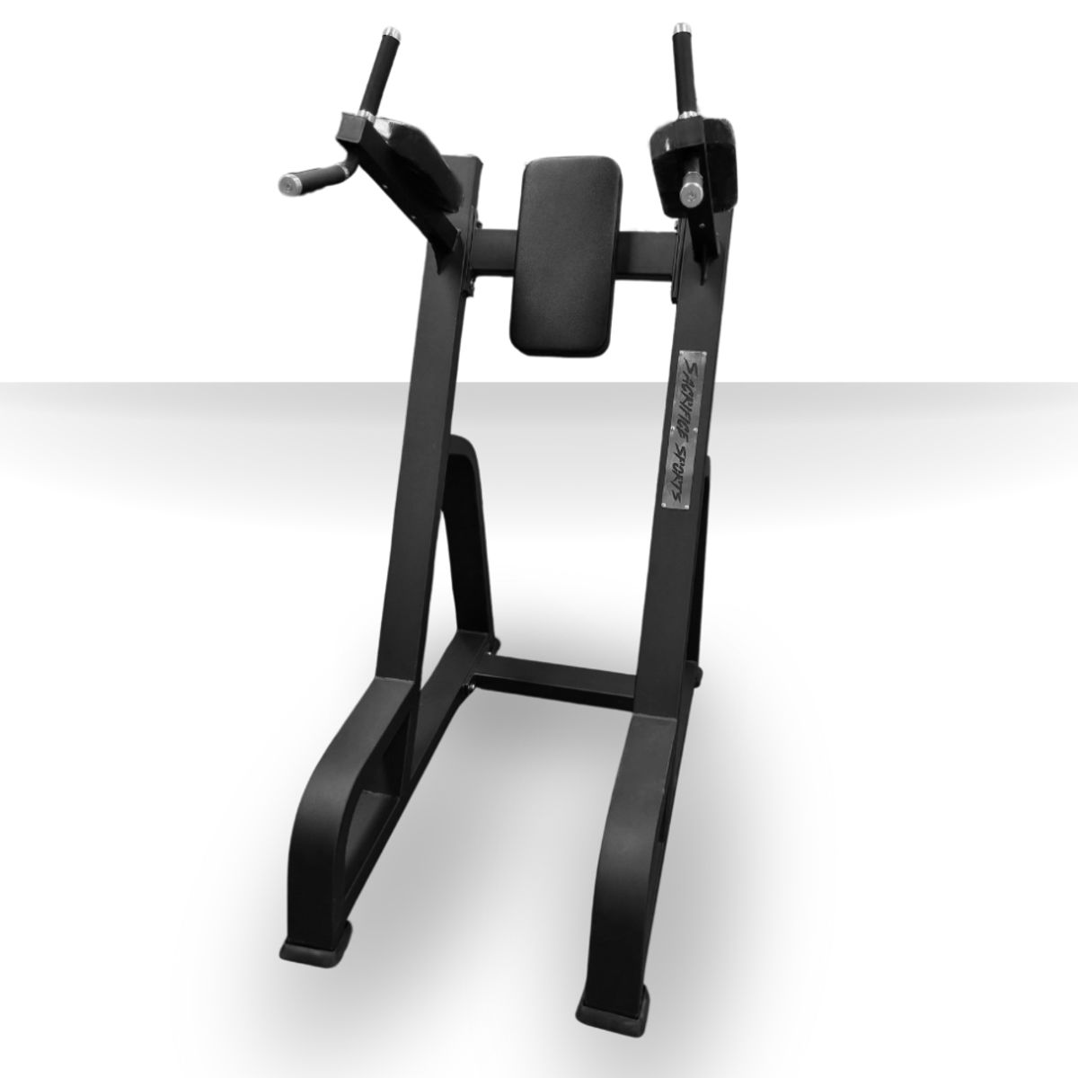 GENERICO - Elevación Vertical de Pierna Dip and Knee Raise Station 1036