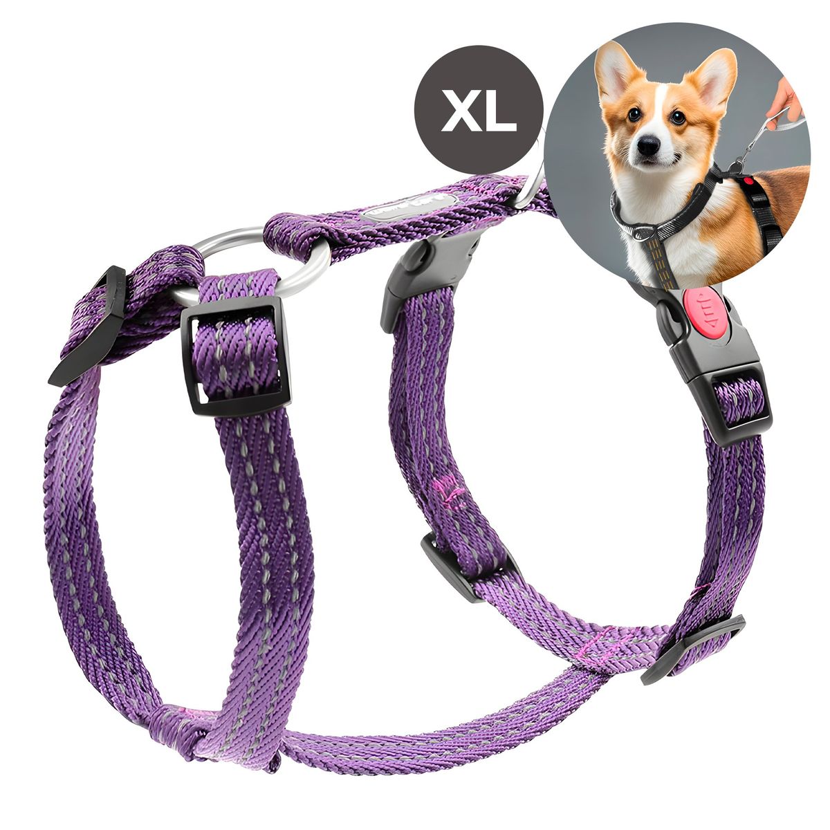 GENERICO - Arnés Perros Ajustable Tipo H Morado Mascotas Talla XL