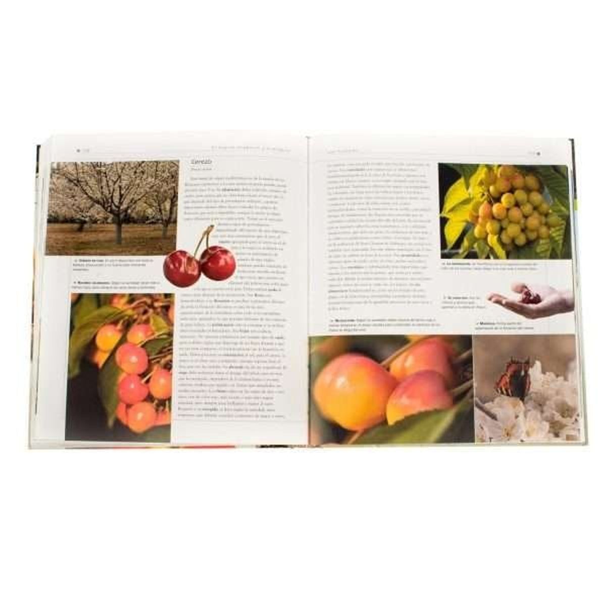 LEXUS EDITORES - Atlas ilustrado El huerto orgánico y ecológico