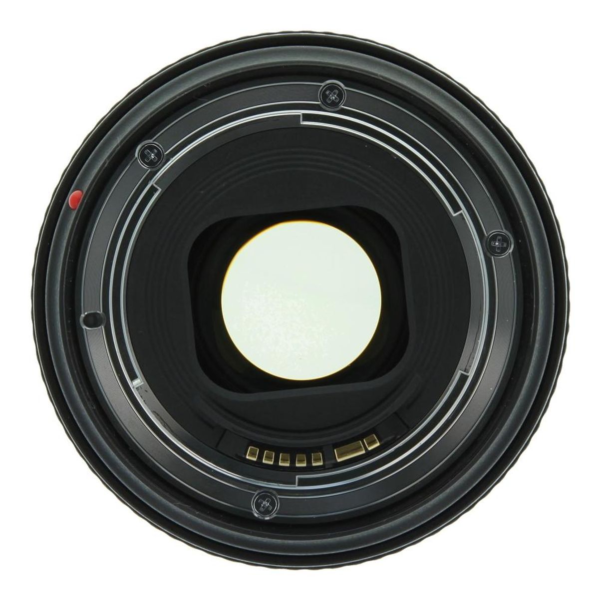 CANON - Canon EF 24-105mm f4L IS II USM Lente Sin Caja Original - Negro