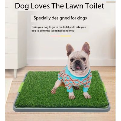 Imagen 2 del producto Baño para Mascotas XL de Pasto sintético