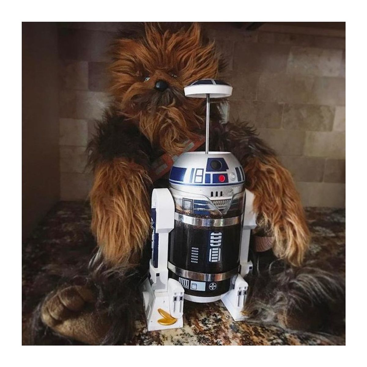 DANWEILE - Mini Cafetera Francesa de 960ml R2D2