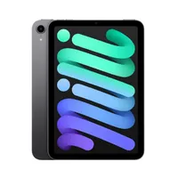 IPad Mini 6ªGen Wifi 256GB 4GB - Gris Espacial