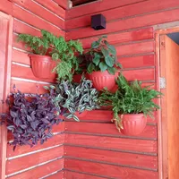 Pack 5 Maceteros Mural Aire Libre Colgante N°27