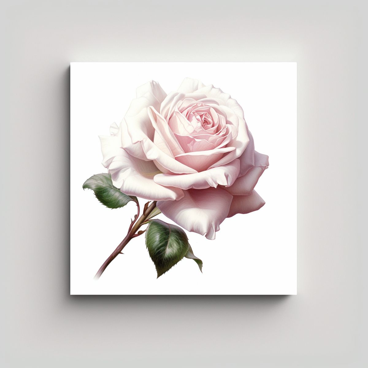 GENERICO - Clásico Lienzo De Alta Calidad Rosa Blanca Con 40x40 Cm