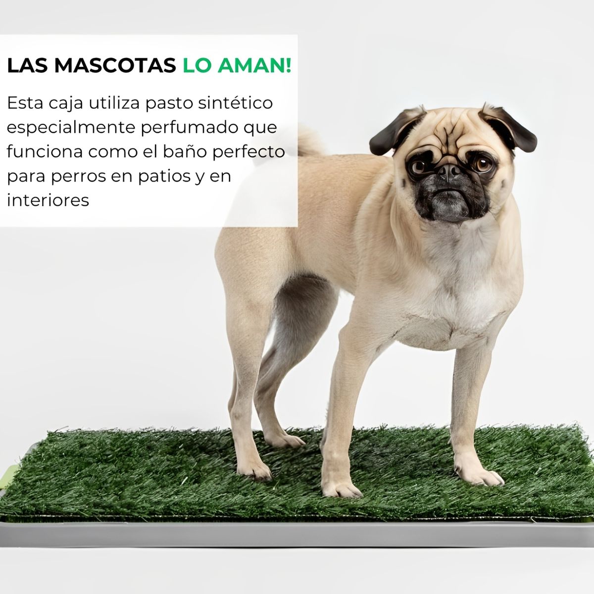 GENERICO - Baño Para Mascotas Chicas y Medianas