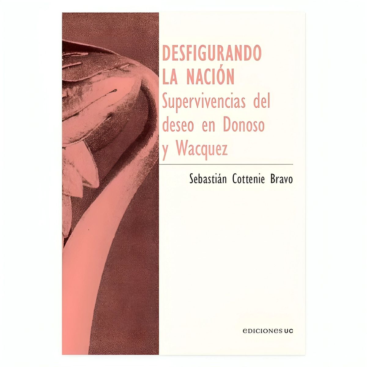 TOP10BOOKS - LIBRO Desfigurando La Nación - SEBASTIÁN COTTENIE BRAVO