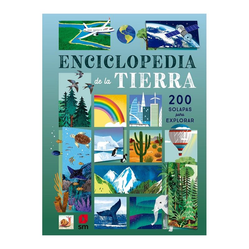 TOP10BOOKS - LIBRO ENCICLOPEDIA DE LA TIERRA / RUTH MARTIN / SM