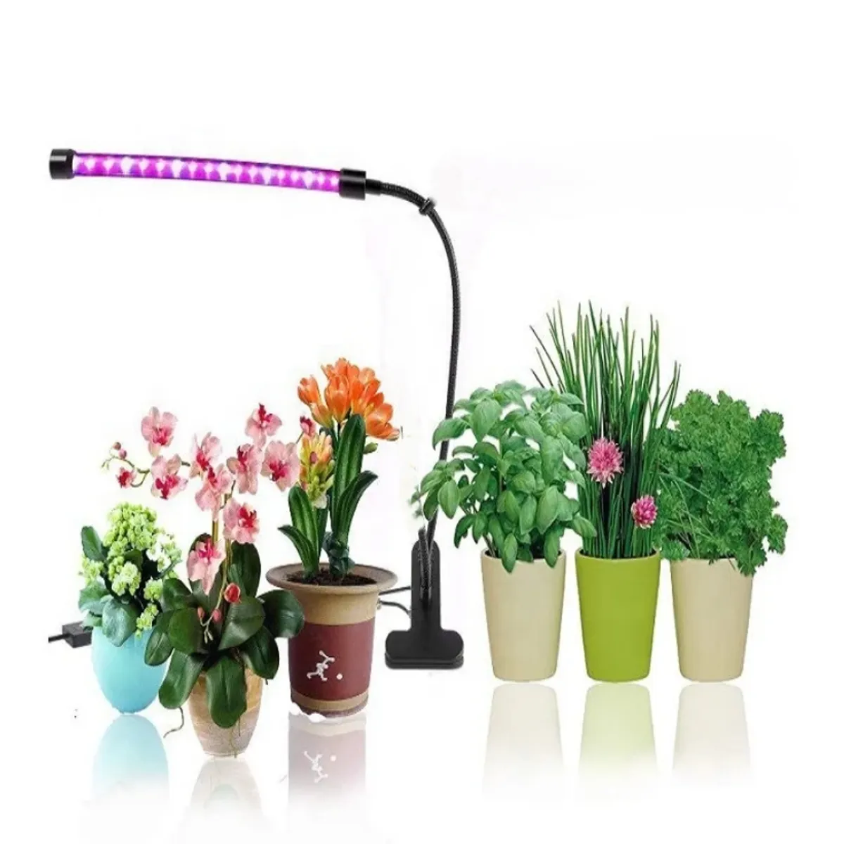 GENERICO - Lámpara de cultivo para plantas de interior de 20 leds