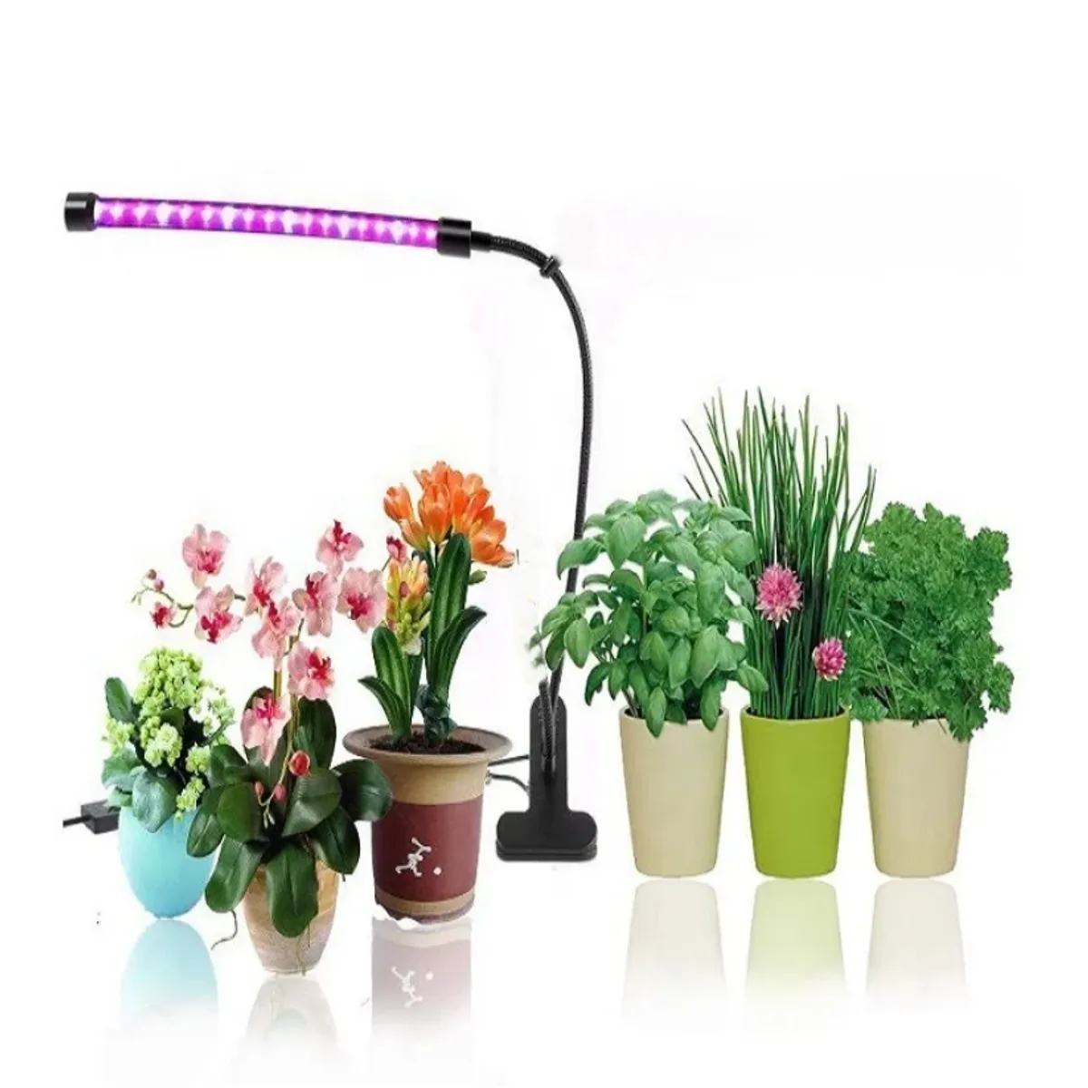 GENERICO - Lámpara de cultivo para plantas de interior de 20 leds