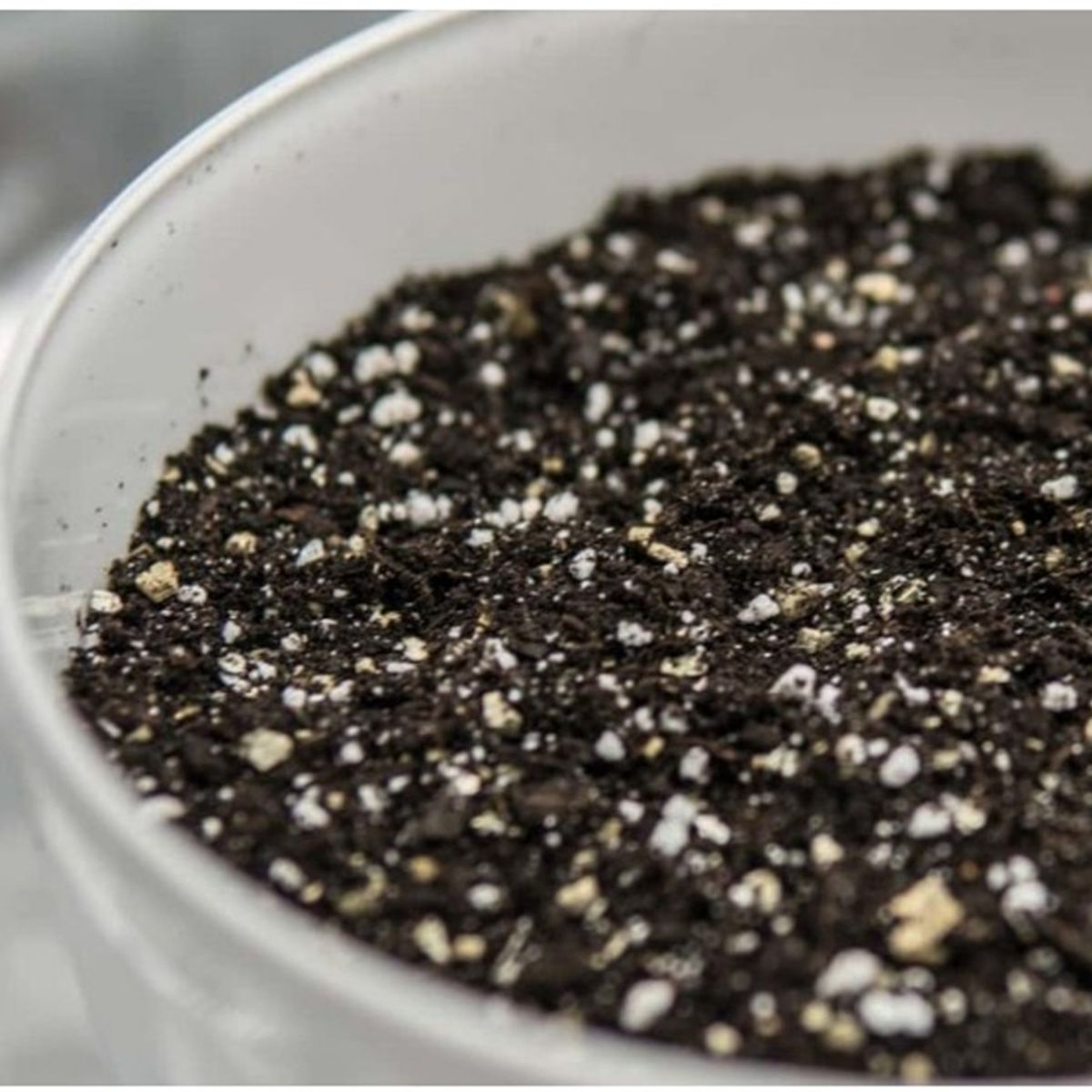 GENERICO - Mejorador De Suelo Perlita Sustrato Bolsa 6 Lt