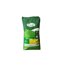 ANASAC - Semilla Prado Pasto Manquehue 5 Kg Cubre 100 Mts