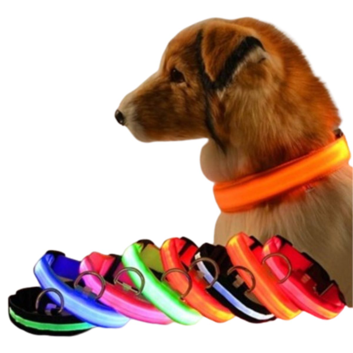 GENERICO - Collar Luminoso LED Recargable