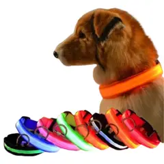 GENERICO - Collar Luminoso LED Recargable