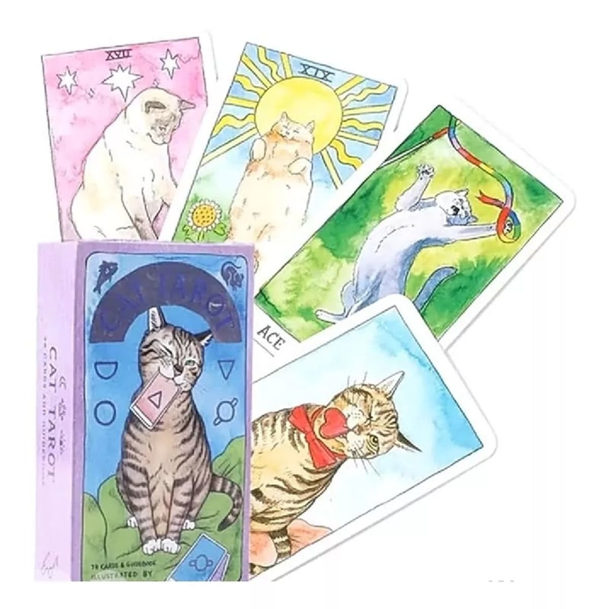 GENERICO - Tarot Rider-waite 78 Cartas Versión Gatos, Edición Especial