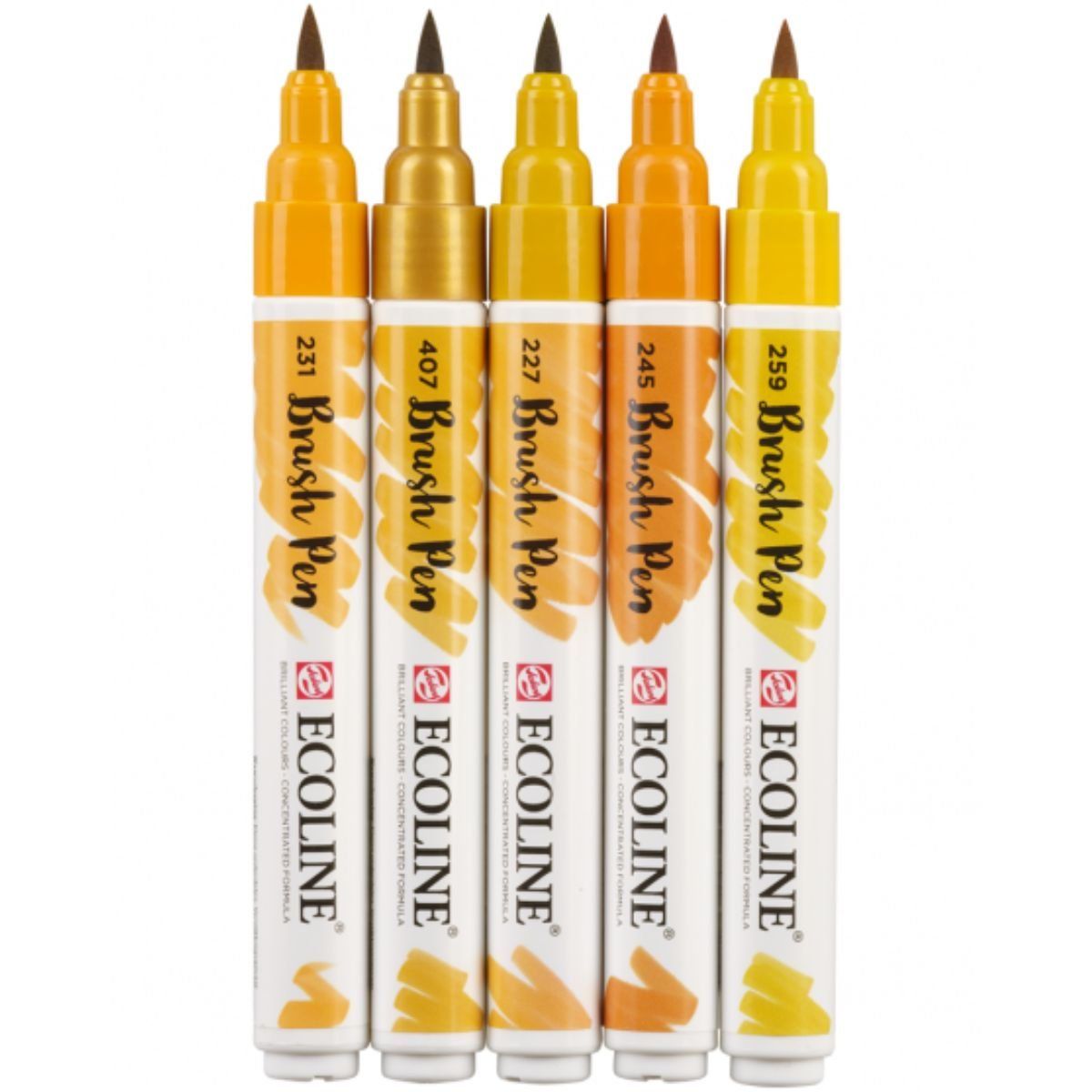 Royal Talens - Set 5 Marcadores Acuarela Ecoline Colores Tierra