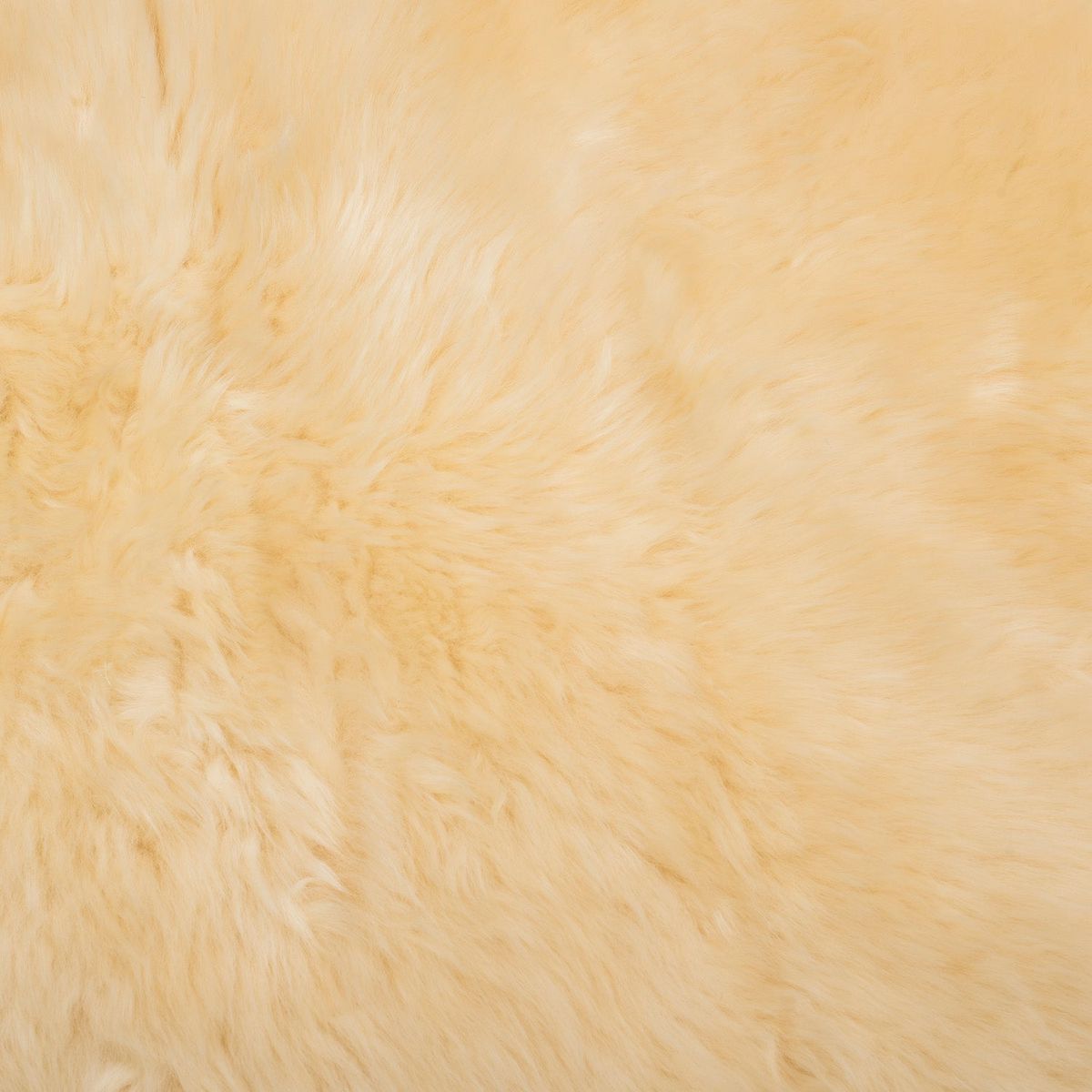 DIB - Alfombra Shaggy Patagonia Crema 055x090cm