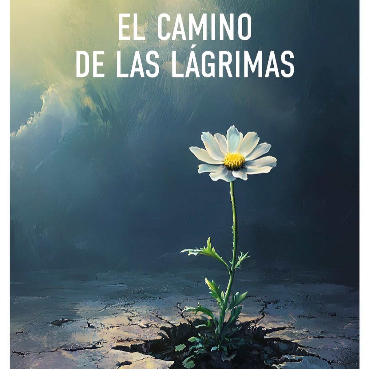 TOP10BOOKS - LIBRO El Camino De Las Lágrimas - El Camino De Las Lágrimas