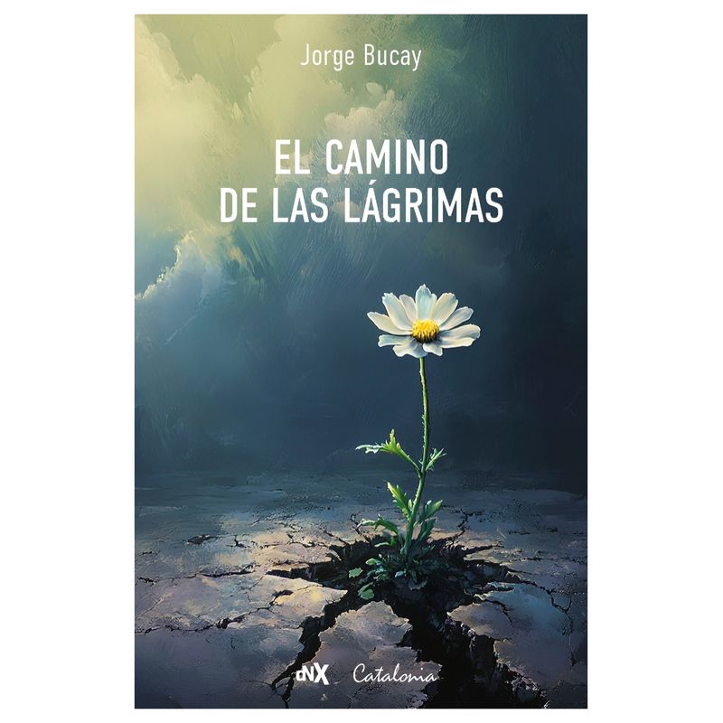 TOP10BOOKS - LIBRO EL CAMINO DE LAS LÁGRIMAS / JORGE BUCAY / CATALONIA-DNX