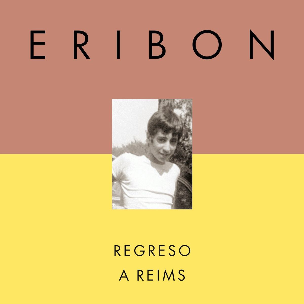 TOP10BOOKS - LIBRO Regreso A Reims - Regreso A Reims