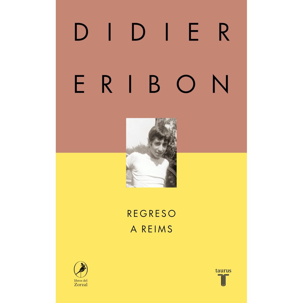 TOP10BOOKS - LIBRO Regreso A Reims - Regreso A Reims