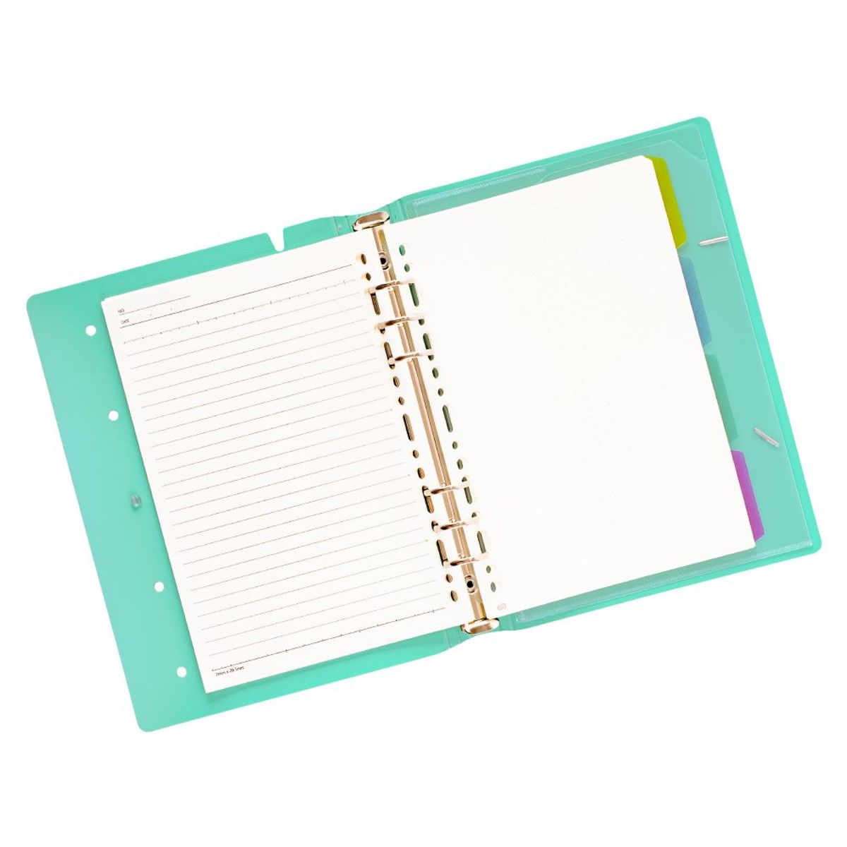 GENERICO - Agenda Pin A5 Calipso c/ 6 Anillos