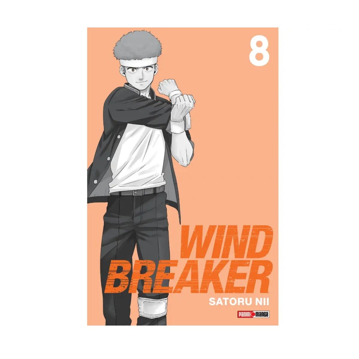 PANINI - Wind Breaker N°8