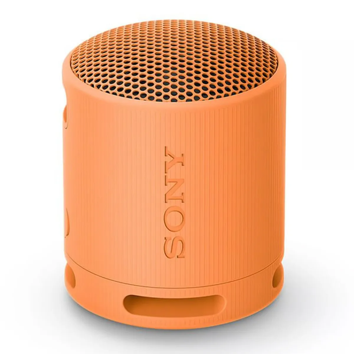 SONY - Parlante Portable Bluetooth Srs-XB-13 Sony-Rosa