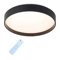 WANT - Lampara Led Sobrepuesto 50cm Con Control 40W