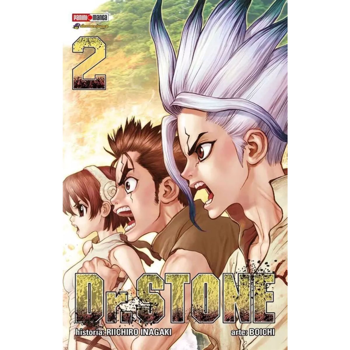 PANINI CHILE - Dr Stone N°2 - Los Dos Reinos de Stone World