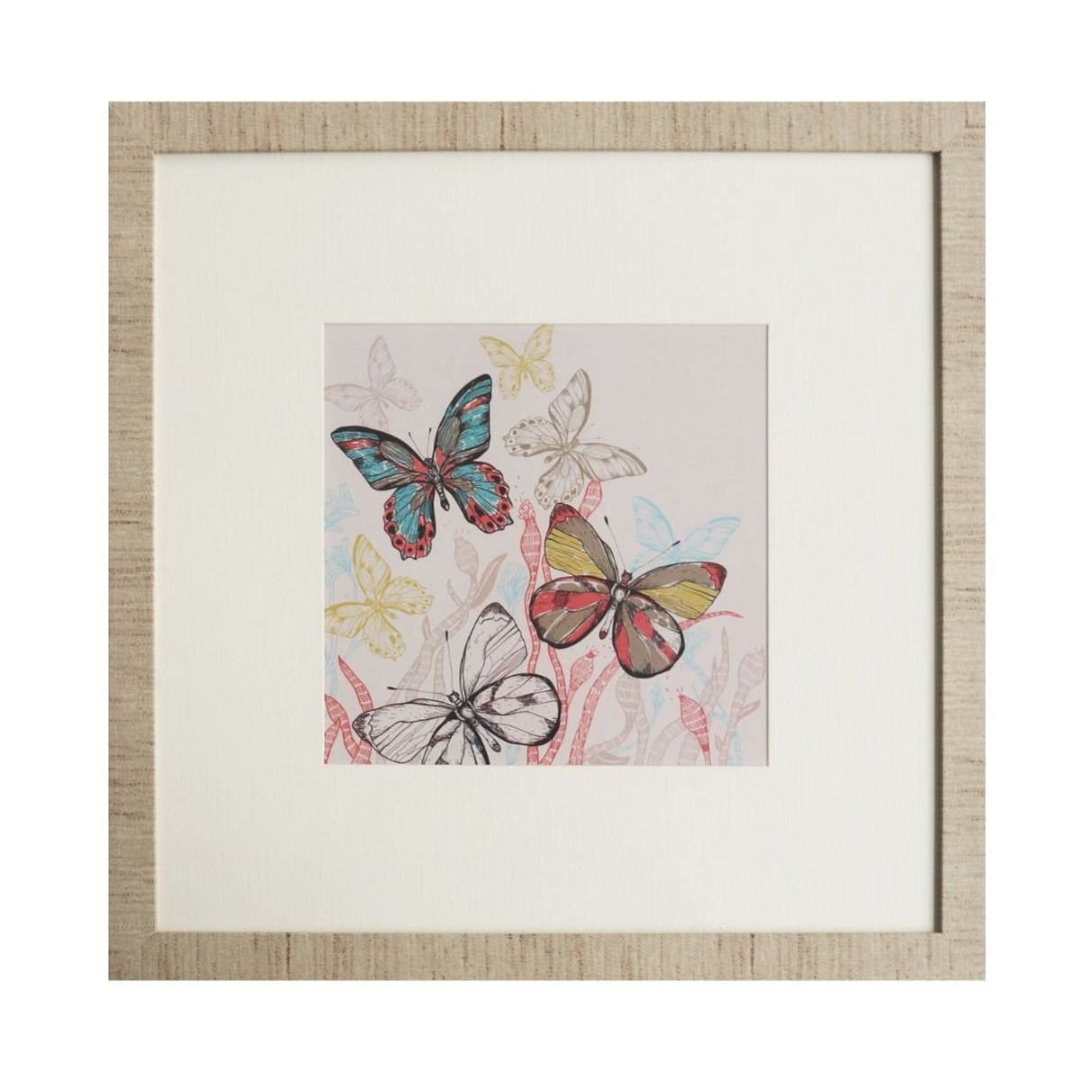 RONDA - Cuadro de mariposas 50x50