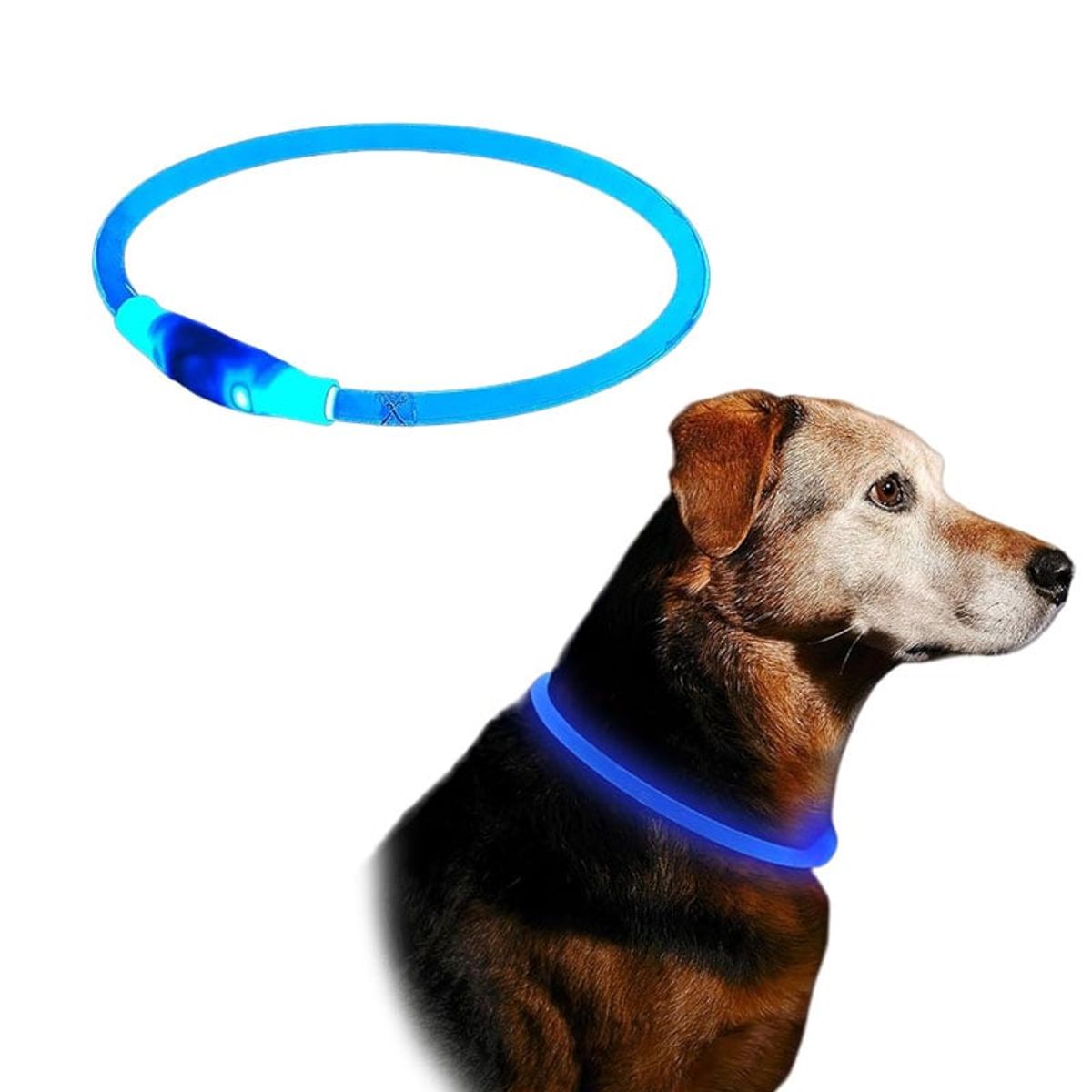 METALFER - Collar Led Perro Brilla En La Oscuridad Usb Recargable AZUL