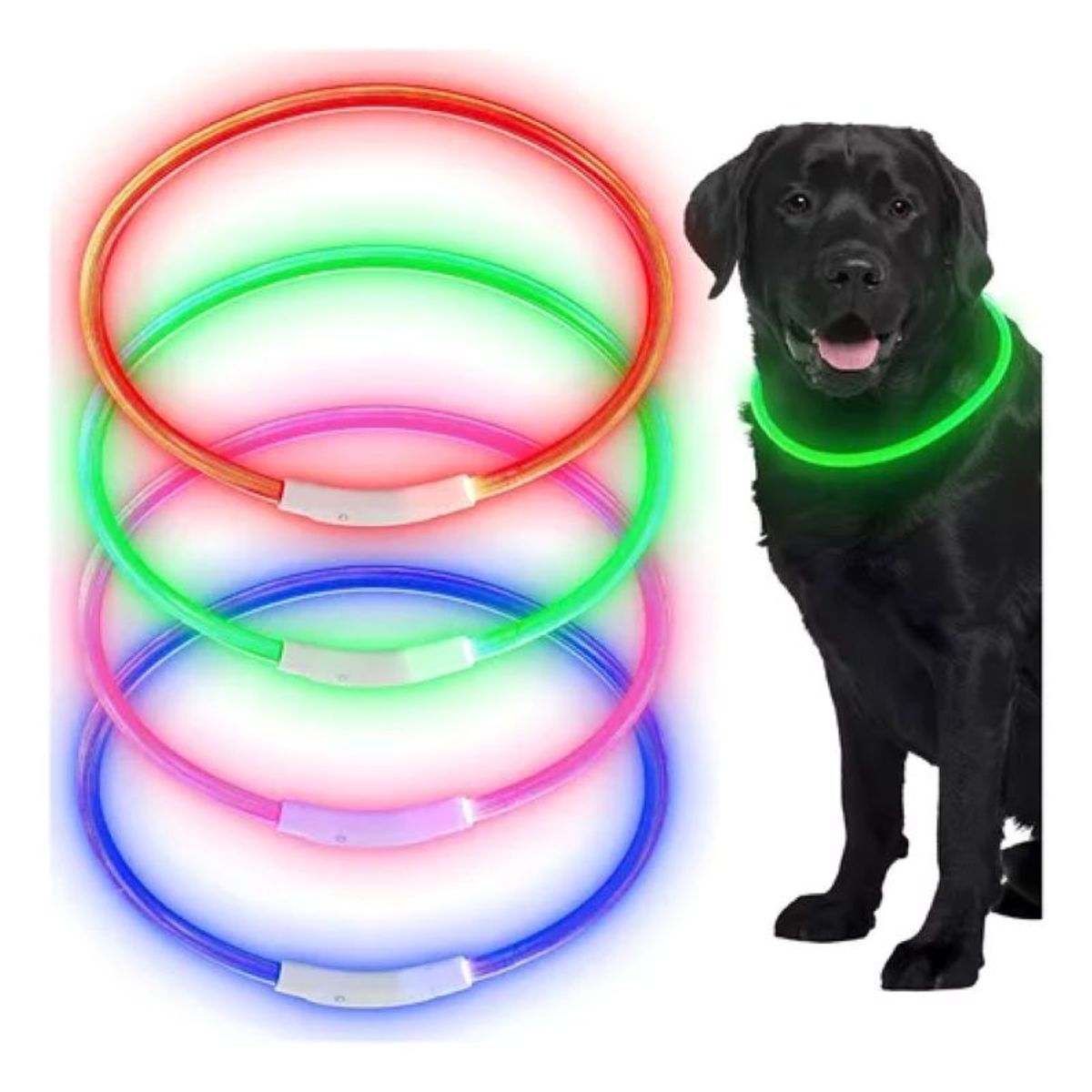 METALFER - Collar Led Perro Brilla En La Oscuridad Usb Recargable AZUL