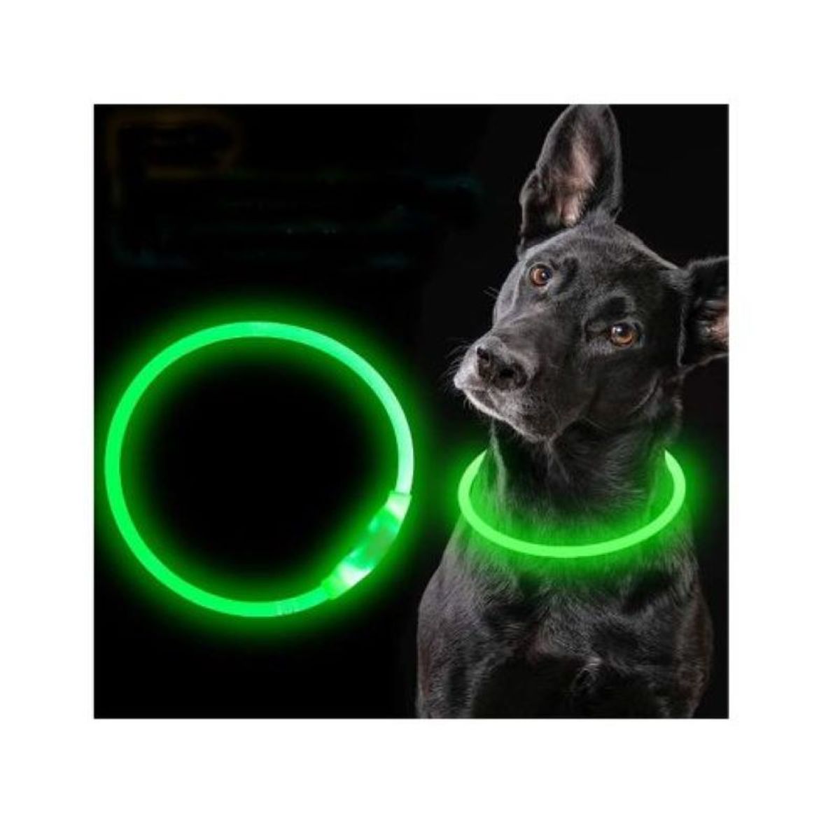 METALFER - Collar Led Perro Brilla En Oscuridad Usb Recargable VERDE