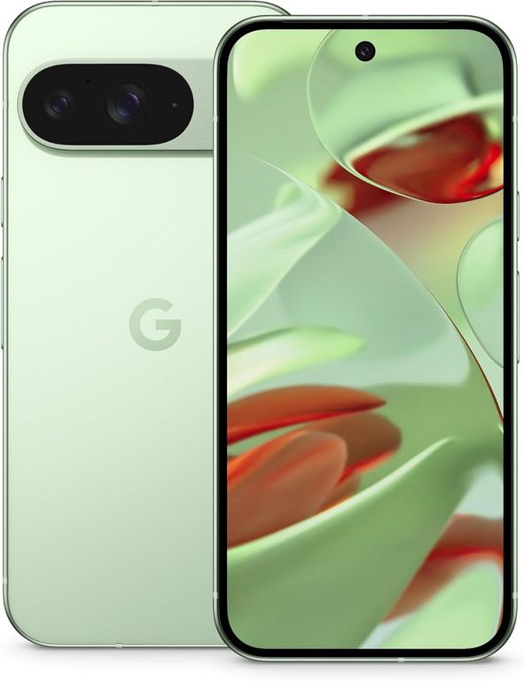 Pixel 9 256GB 12GB - Verde Invierno