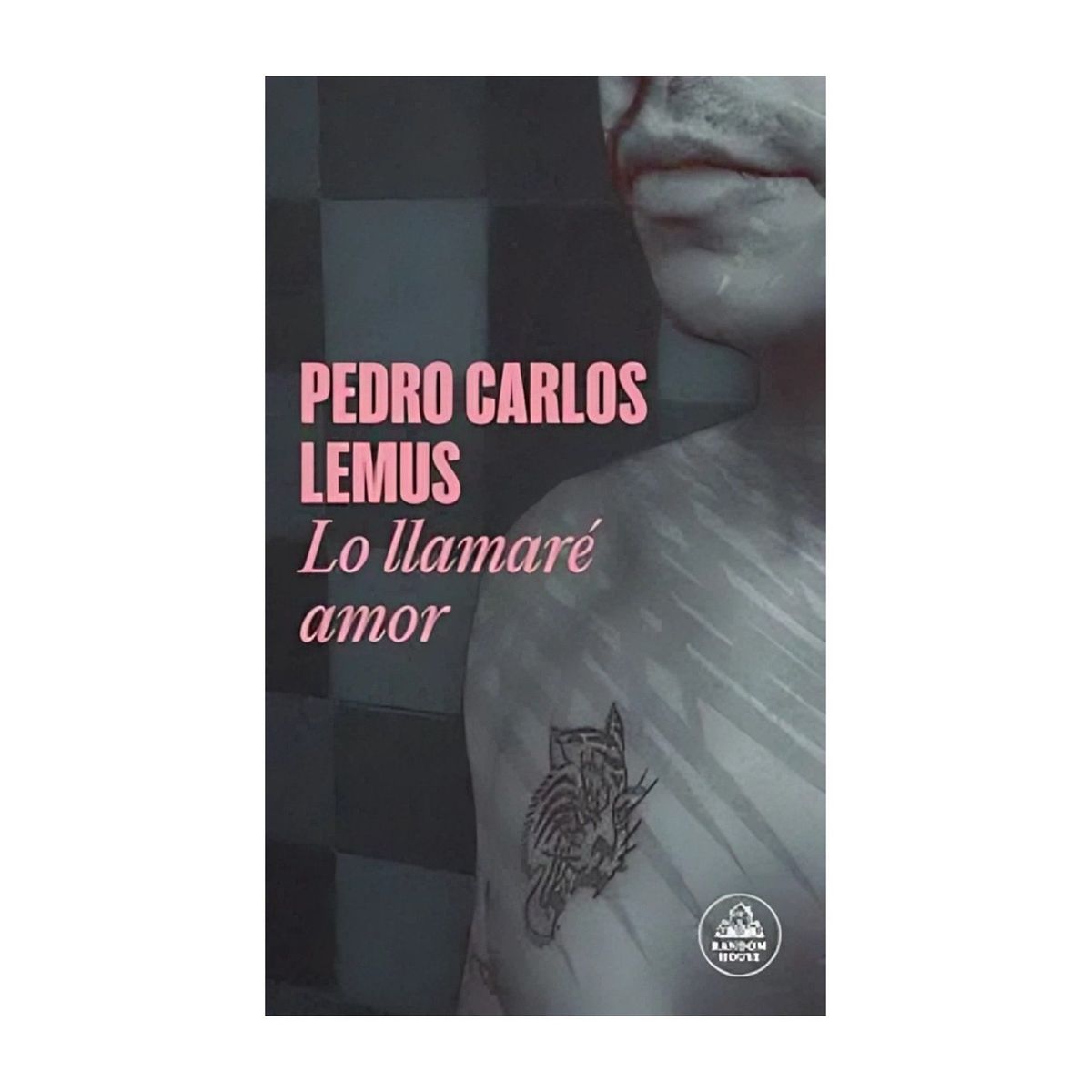 TOP10BOOKS - LIBRO Lo Llamaré Amor (mapa De Las Lenguas)