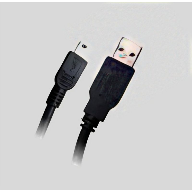 DBLUE - CABLE DBLUE USB 20 A USB MINI 5 PINES 15M