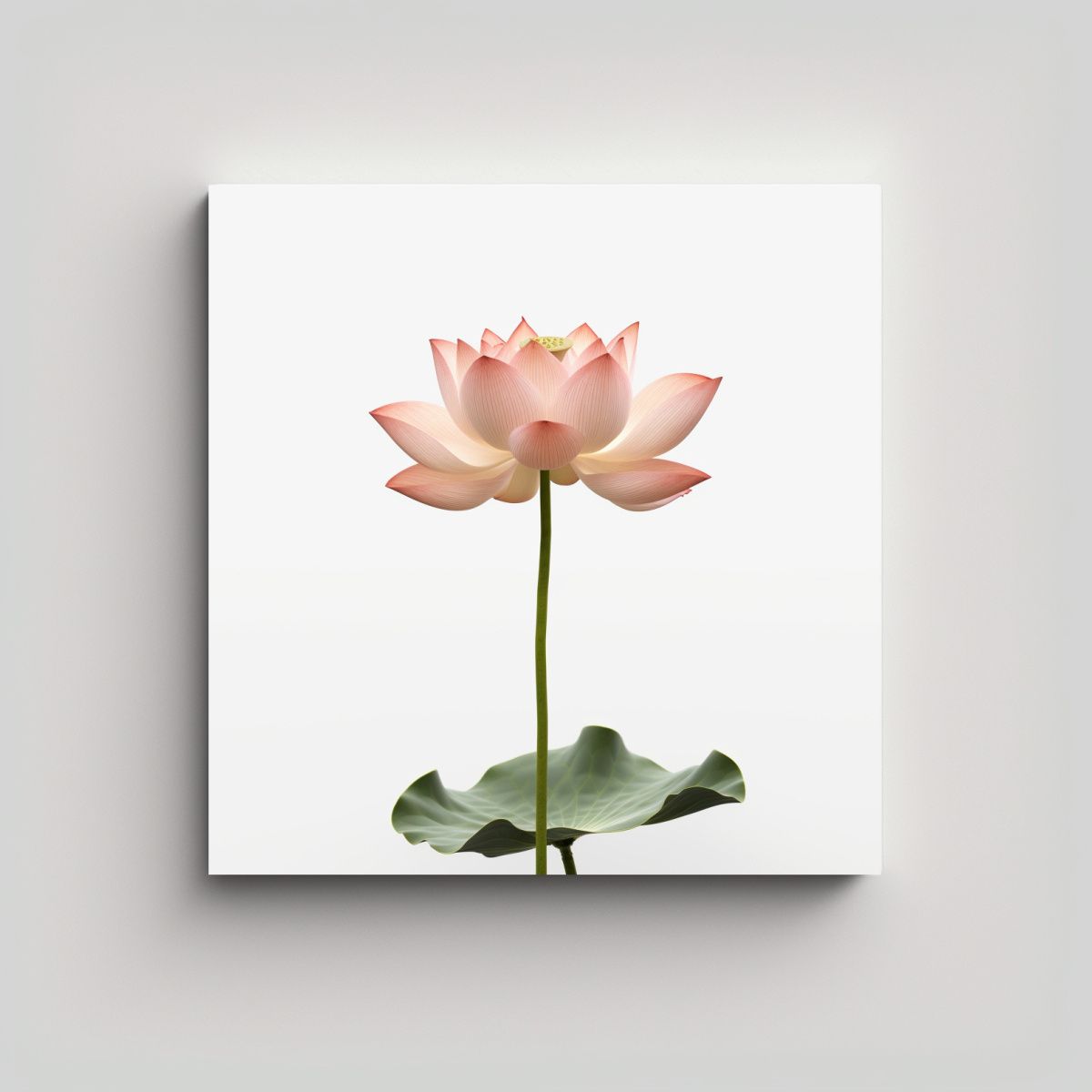 GENERICO - Loto Elegante De Larga Vástago En Fondo Blanco 90x90 Cm