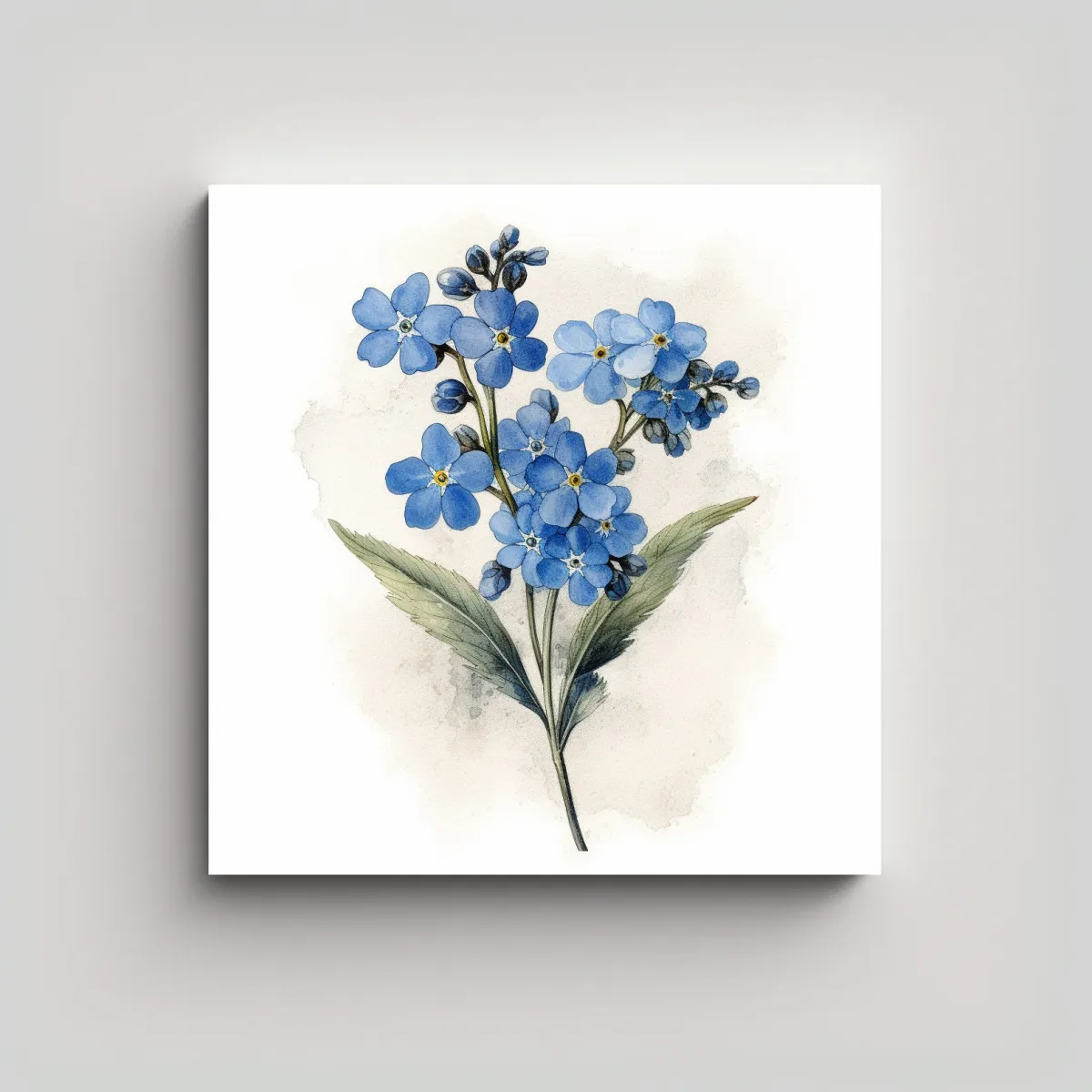 GENERICO - Ilustración Elegante De Flor Forgetmenot Arte 50x50 Cm
