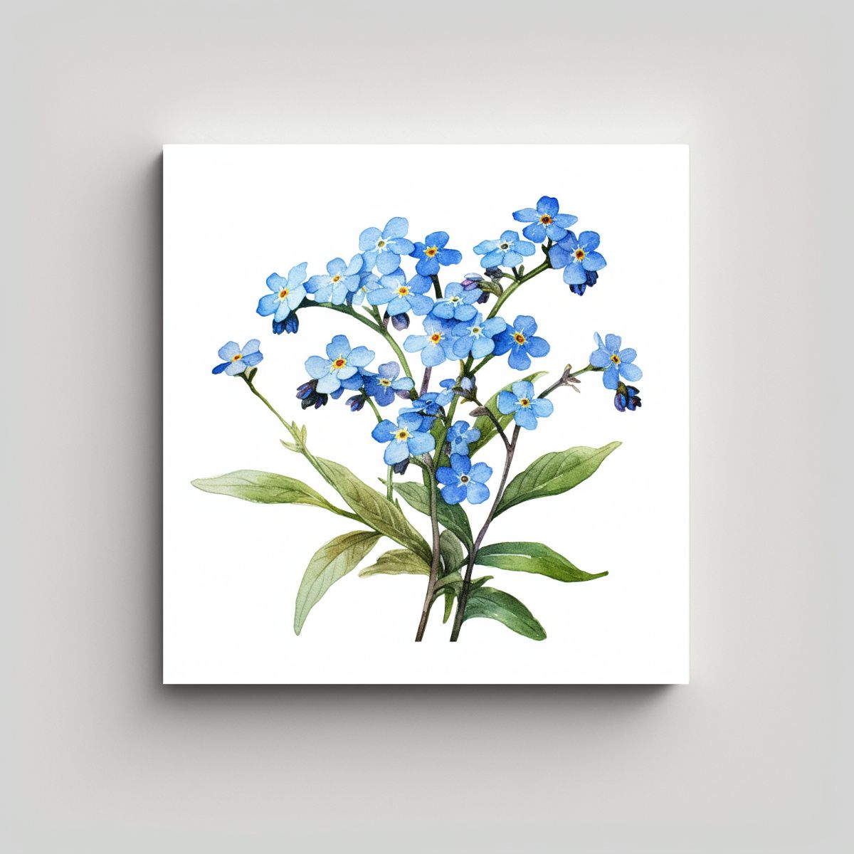 GENERICO - Arte Urbano Vintage De Myosotis En Acuarela 30x30 Cm
