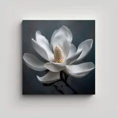 GENERICO - Elegante Lienzo Acuarela De Magnolia Blanca En 60x60 Cm