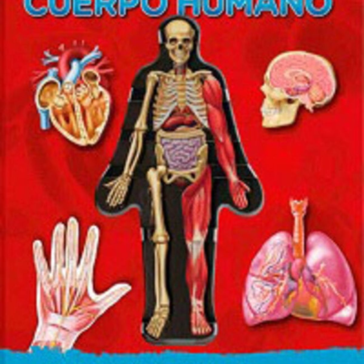 CATAPULTA - Libro MIREMOS DENTRO DEL CUERPO HUMANO - Catapulta Junior