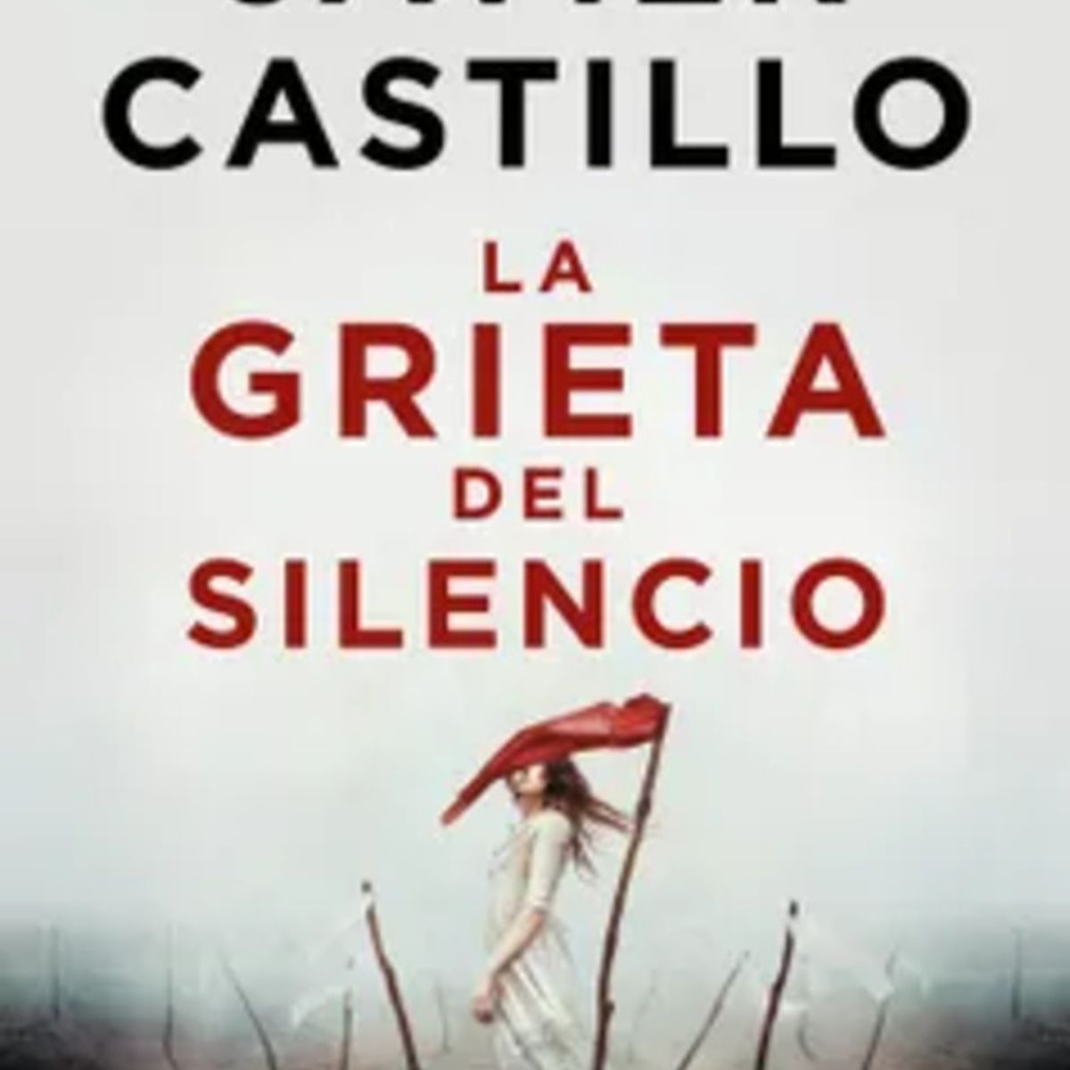 SUMA DE LETRAS - Libro La grieta del silencio - Javier Castillo -