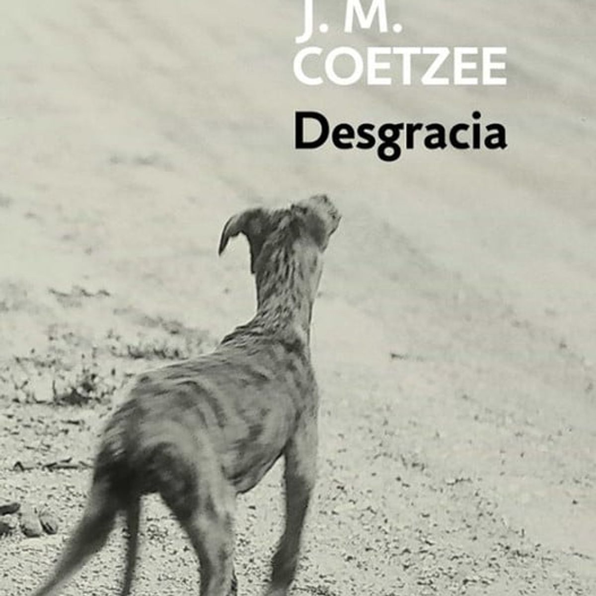 DEBOLSILLO - Libro Desgracia - J.M. Coetzee -