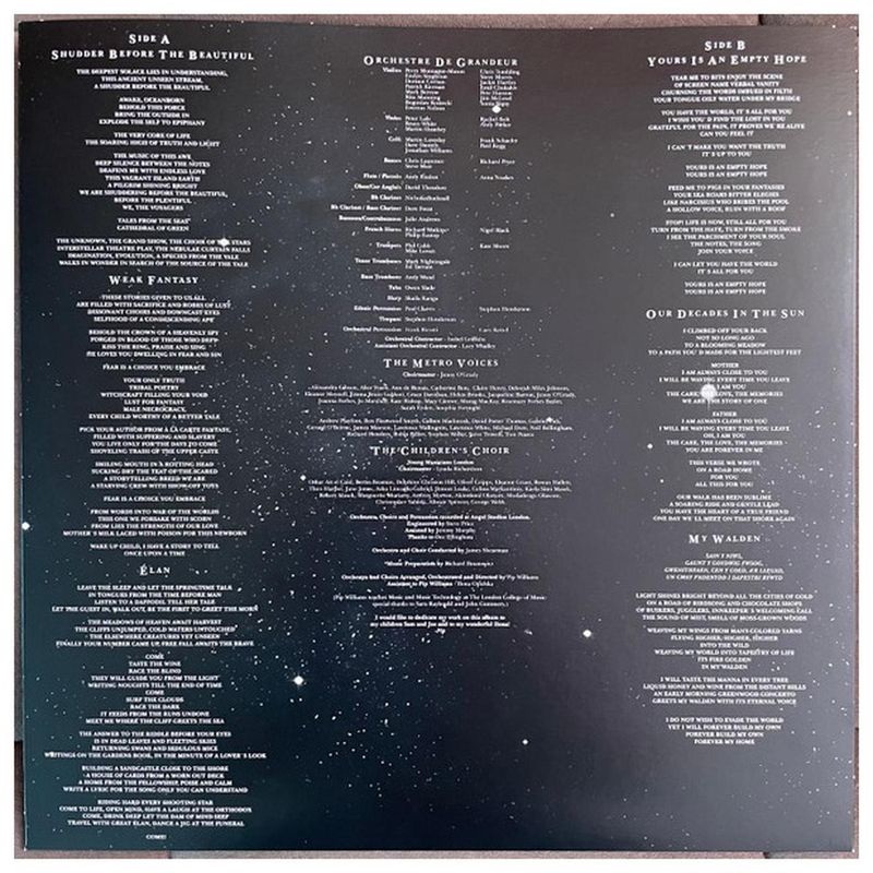 HITWAY MUSIC - NIGHTWISH - ENDLESS FORMS MOST BEAUTIFUL GOLD & BLACK VINYL