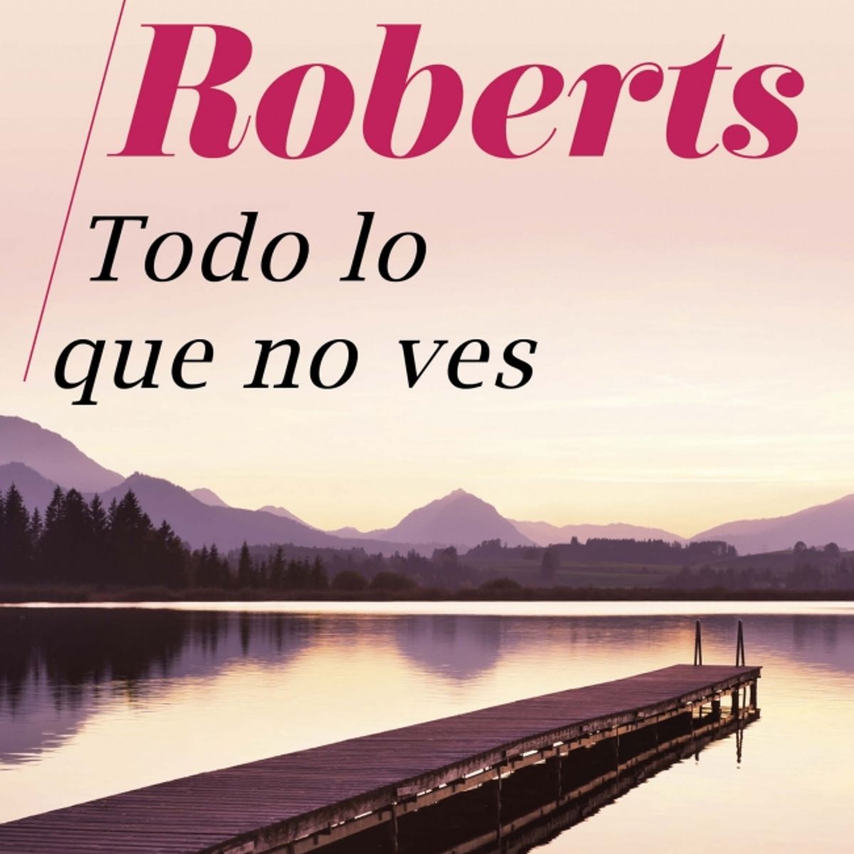 SUMA DE LETRAS - Libro Todo lo que no ves - Nora Roberts