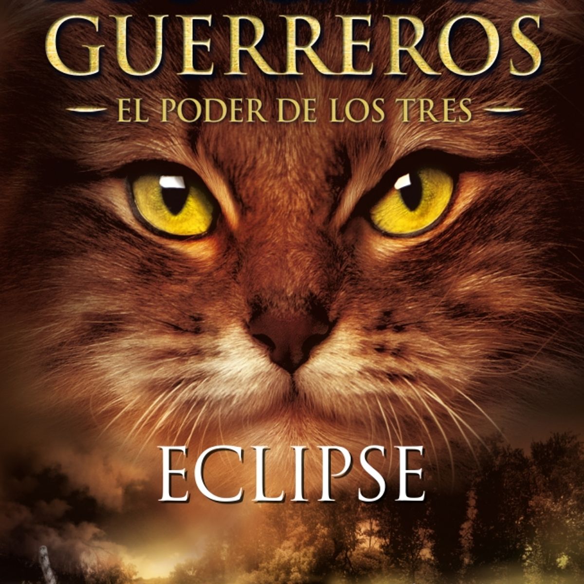 SALAMANDRA - Libro Eclipse (Gatos Guerreros Poder de los Tres 4) - Hunter